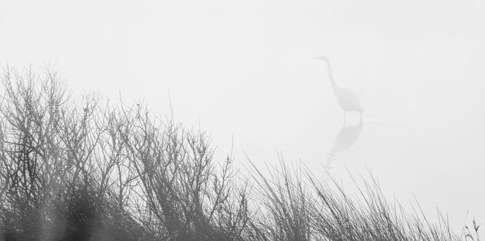 1-2019-02-12-SB-_MG_8702