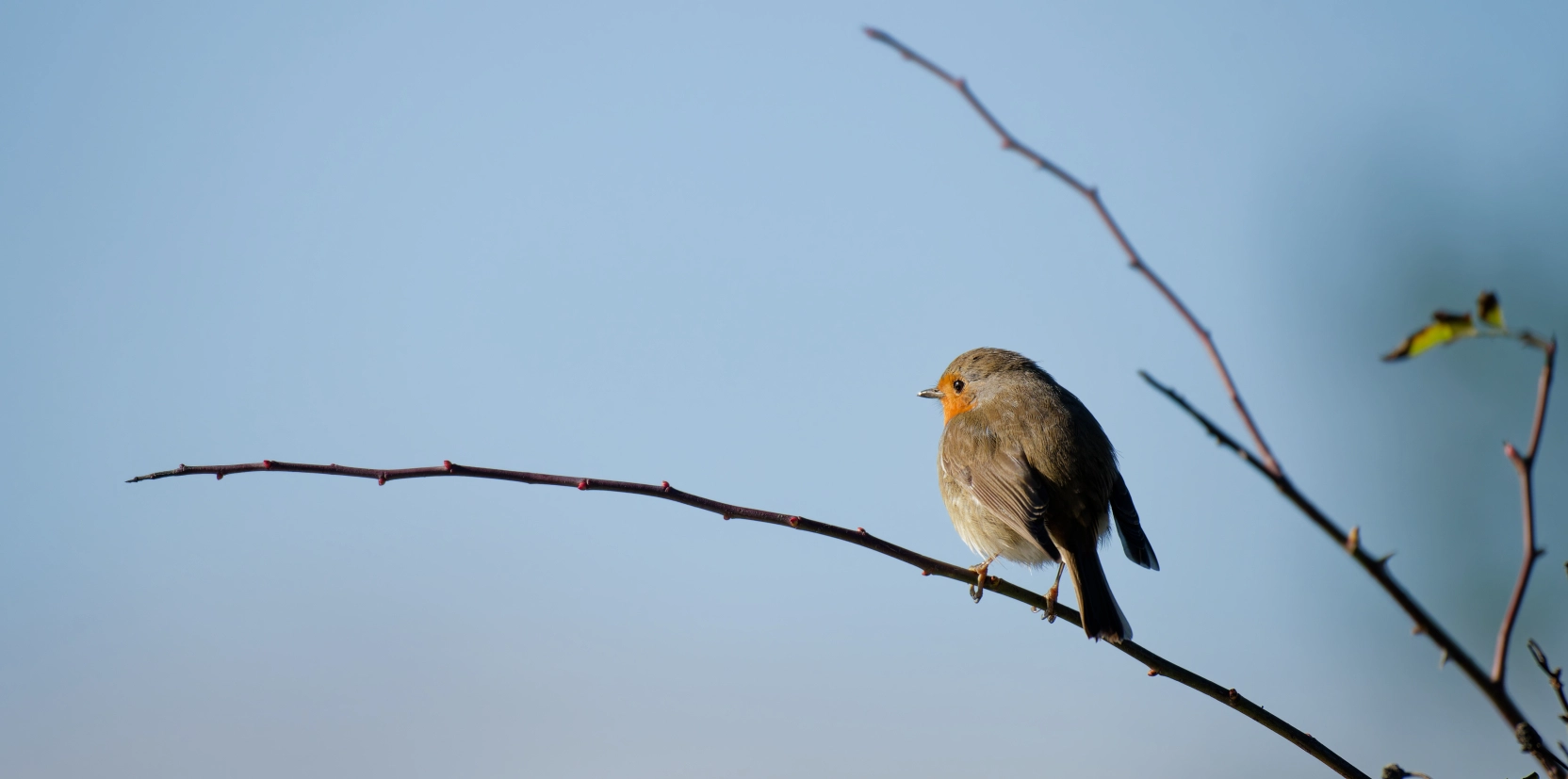 2-2025-11-30-SB-DSC_6572