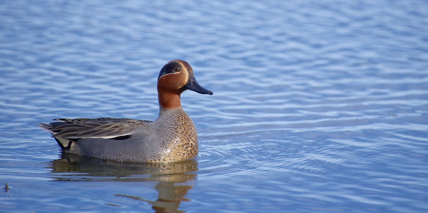 3-2025-02-15-SB-_XH06080