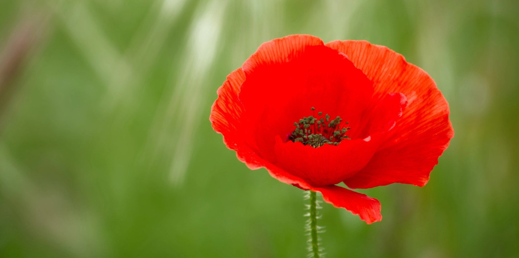 7-2024-05-12-SB-30XT4446